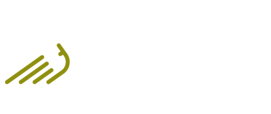 Ufi